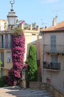 Cannes
