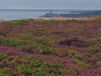Cap Fréhel Blick zum Fort de la Latte