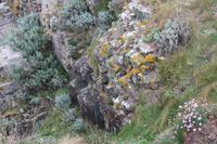 Cap Fréhel