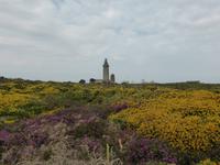 Cap Frehel - Leuchtturm