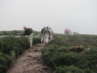 Cap Frehel im Nebel