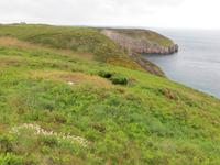 Cap Frehel