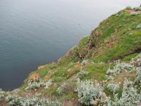 Cap Frehel