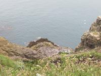 Cap Frehel
