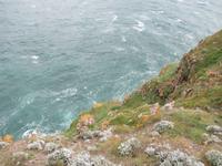 Cap Frehel