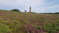 Cap Frehel