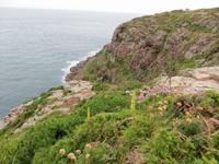 Cap Frehel