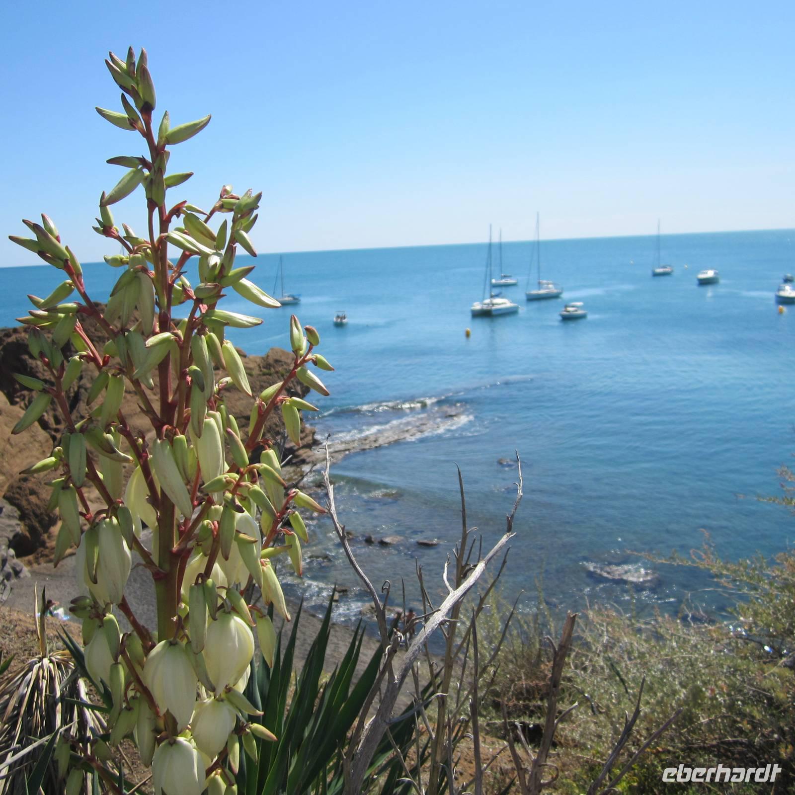 Cap d'Agde