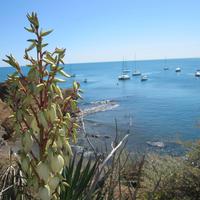 Cap d'Agde