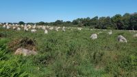 Carnac Steinreihen von Le Ménec