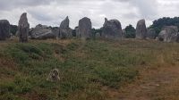 Carnac, Steinreihen von Kermario