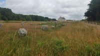 Carnac, Steinreihen von Menec