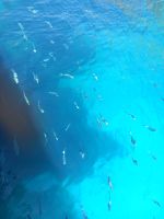 Cassis Calanques