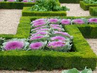 Château et Jardins Villandry 