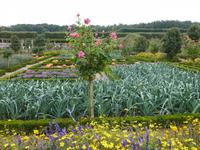 Château et Jardins Villandry 