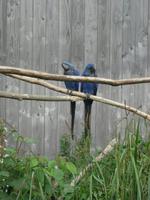 Champrepus Parc Paysager et Zoologique