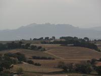 Chateauneuf du Pape