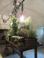 Chenonceau
