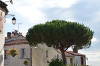 Clisson