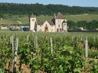 Clos de Vougeot