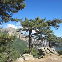 Col de Bavella