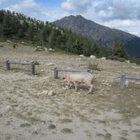 Col de Vergio