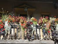 Colmar