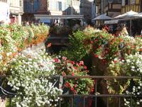 Colmar