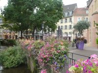 Colmar