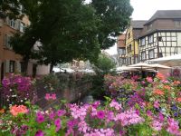 Colmar