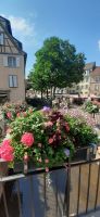 Colmar
