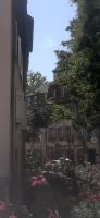 Colmar