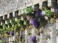 Concarneau
