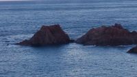 Corniche d´Or