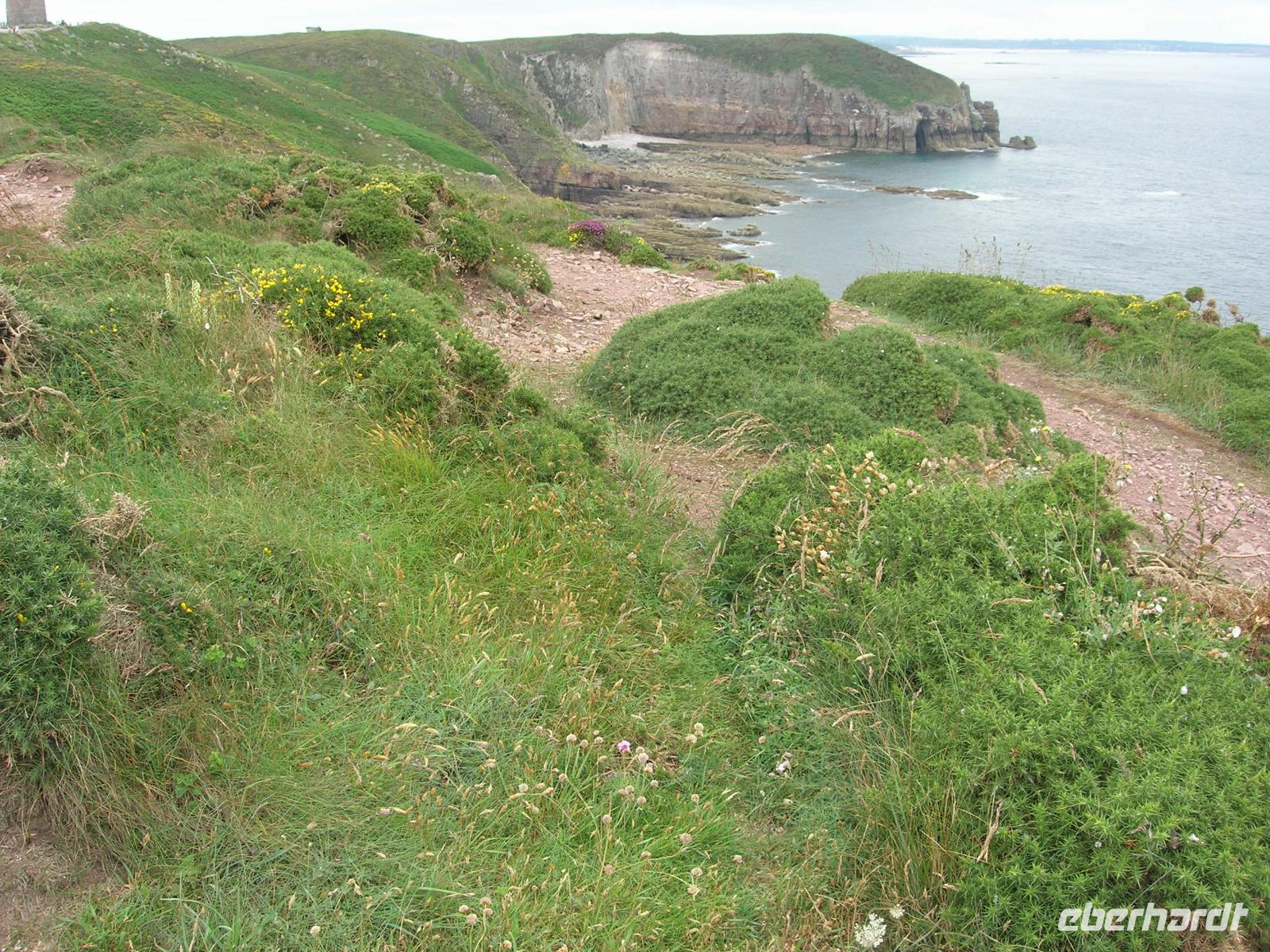 Cote d'Emeraude