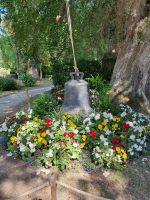 Coutances 