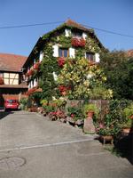 Dambach-la-Ville