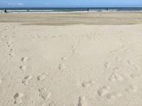 Deauville 