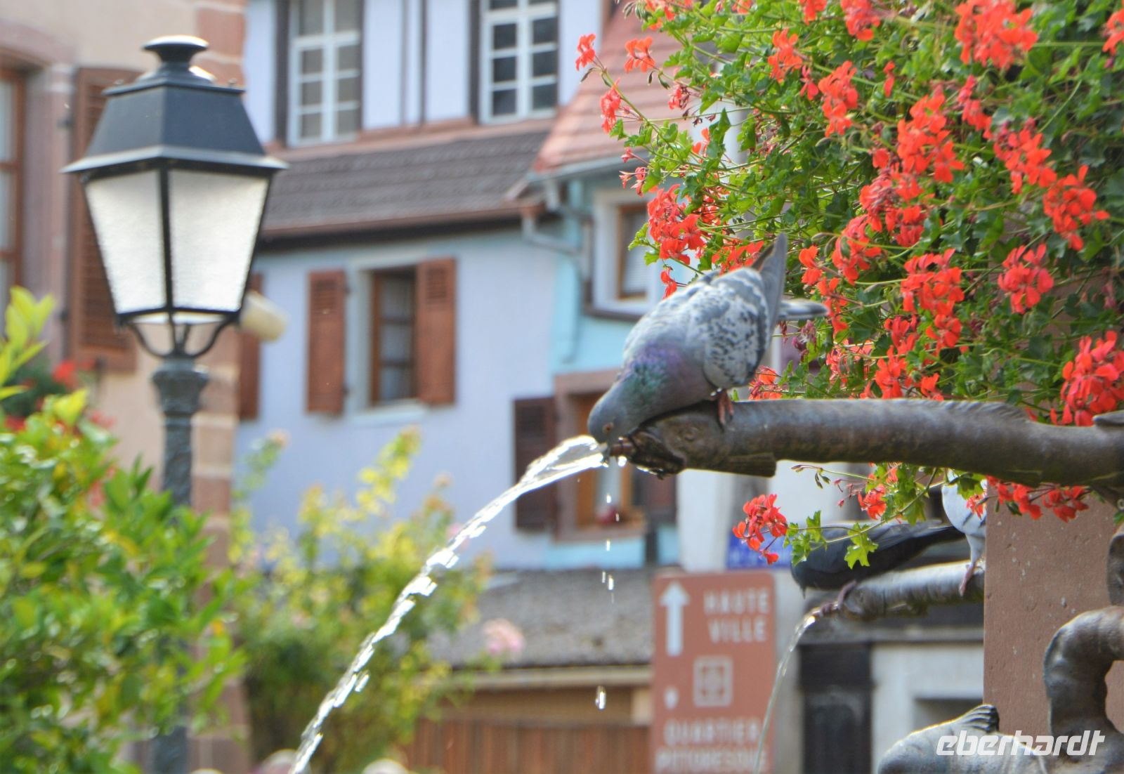 Detailaufnahme vom Brunnen