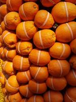 Die Früchte des Karnevals