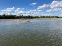 Die Loire ein Vogelparadies….