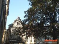 Dijon