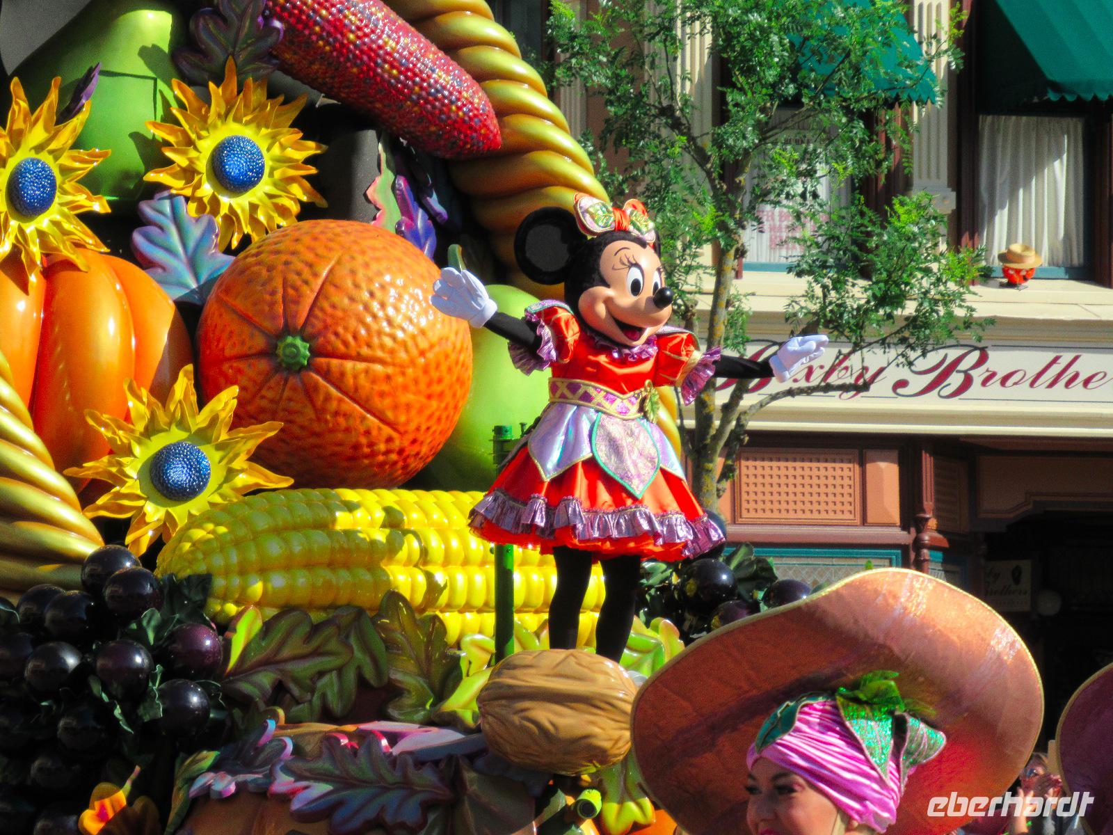 Disney Land