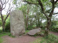 Dolmen bei Erdeven