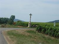Durch die Felder Richtung Meursault
