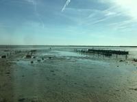 Ebbe an der 