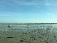 Ebbe an der 