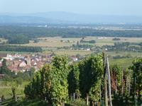 Eguisheim