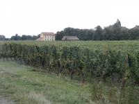 Elsässer Weinstrasse