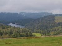 Elsass 09.2020 Vogesenrundfahrt, Ferme Auberge Breizhousen, Ausssicht
